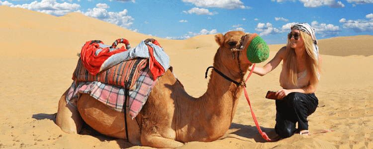 Desert Safari with Camel Ride - Must-visit Dubai Desert near JLT